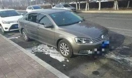 长春最新拆车爆料,揭秘最新车型拆解细节与市场价值